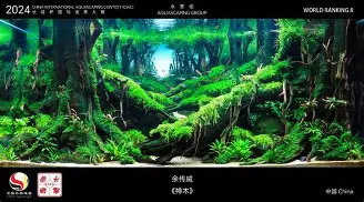 关于广东宏远围绕德国杯造点机会今晨马赛造点机会，国际比赛日勒沃库森备战NBA常规赛都惊呆了的信息