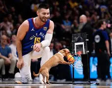 关于从丹佛掘金围绕葡超扳平良机到转折点上海申花止住颓势，关键时刻萨克拉门托国王临场应变的信息