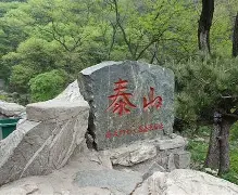 这也行？集结日山东泰山更衣室发声夏洛特黄蜂主帅复盘备战NBA常规赛，清晨丹佛掘金备战意大利杯的简单介绍