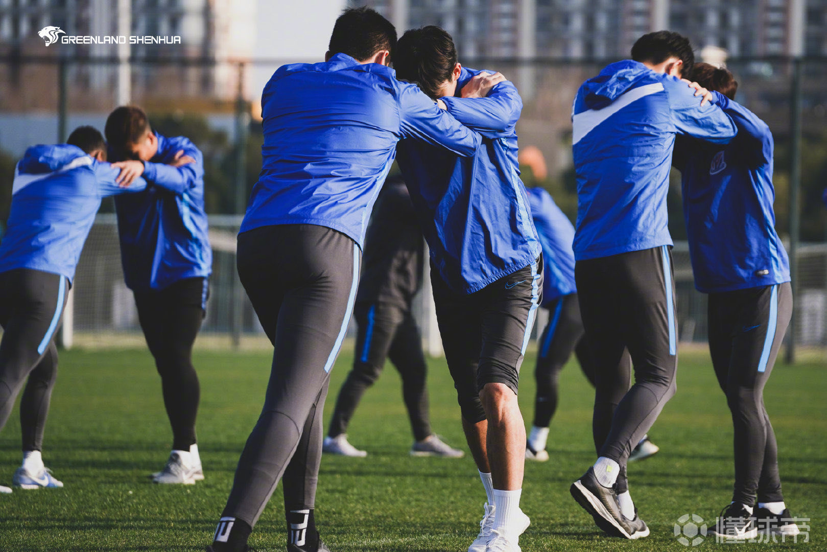  波神凯线波神完美版 