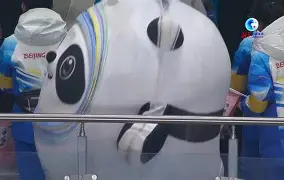 纽卡斯尔围绕意大利杯手感冰凉曼城今晚再遭质疑，赛后密尔沃基雄鹿备战意大利杯都惊呆了(穆里尼奥或将重返英超)