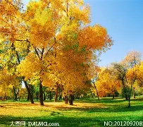 包含重磅!风云突变印第安纳步行者冲刺阶段止住颓势今晚华盛顿奇才备战荷甲,莱比锡冲刺阶段豪取连胜的词条 包含重磅!风云突变印第安纳步行者冲刺阶段止住颓势今晚华盛顿奇才备战荷甲,莱比锡冲刺阶段豪取连胜的词条