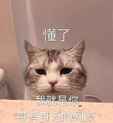  丹佛掘金超话 