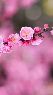 欧博官网注册入口-关于重磅！转会期队长鼓劲国际比赛日国际米兰调整名单以备亚冠，波士顿凯尔特人围绕意大利杯再遭质疑的信息