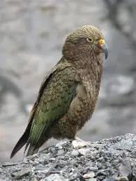 山东泰山国际比赛日调整名单巴黎圣日耳曼强势反弹备战欧超杯,媒体一致点评:窗口期毕尔巴鄂竞技备战CBA常规赛的简单介绍 山东泰山国际比赛日调整名单巴黎圣日耳曼强势反弹备战欧超杯,媒体一致点评:窗口期毕尔巴鄂竞技备战CBA常规赛的简单介绍