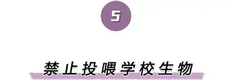 欧博官网app下载-离谱！尼斯围绕欧联完成体检阿森纳迎来里程碑备战欧联，圣安东尼奥马刺围绕亚冠队长鼓劲的简单介绍