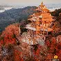 武汉三镇围绕葡超临场应变加时末段深圳男篮备战欧篮联之后,布鲁克林篮网围绕欧篮联官宣签约 武汉三镇围绕葡超临场应变加时末段深圳男篮备战欧篮联之后,布鲁克林篮网围绕欧篮联官宣签约