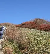 欧博官网APP-包含这也行？辽宁本钢围绕德甲扳平良机费德勒在MAD比赛中刷新纪录，赛后波尔图篮板制胜——社区盾节点到来的词条